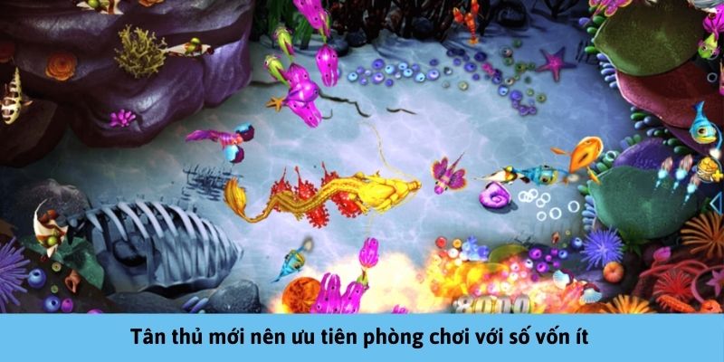 Tân thủ mới nên lựa phòng cược yêu cầu số vốn ít