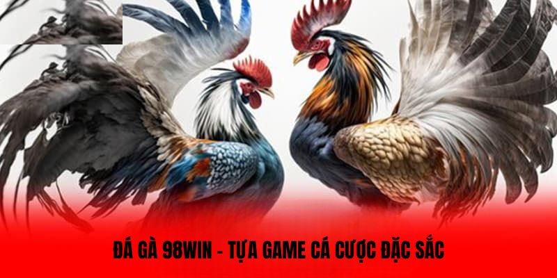 Đá gà 98Win - Tựa game đá cá cược đặc sắc